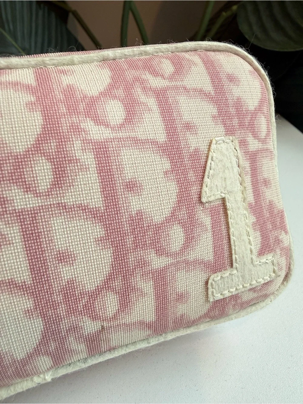Christian Dior ‘Trotter No. 1 Coated Canvas Pouch’